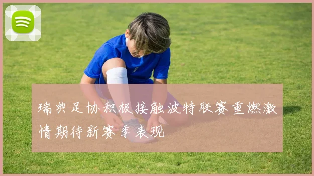 瑞典足协积极接触波特联赛重燃激情期待新赛季表现