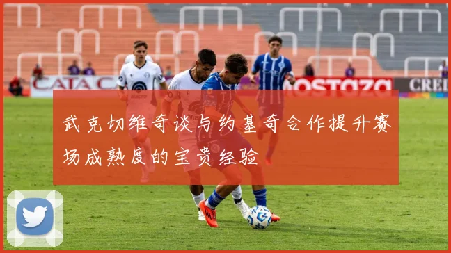 武克切维奇谈与约基奇合作提升赛场成熟度的宝贵经验