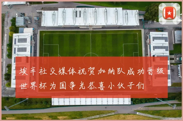 埃辛社交媒体祝贺加纳队成功晋级世界杯为国争光恭喜小伙子们