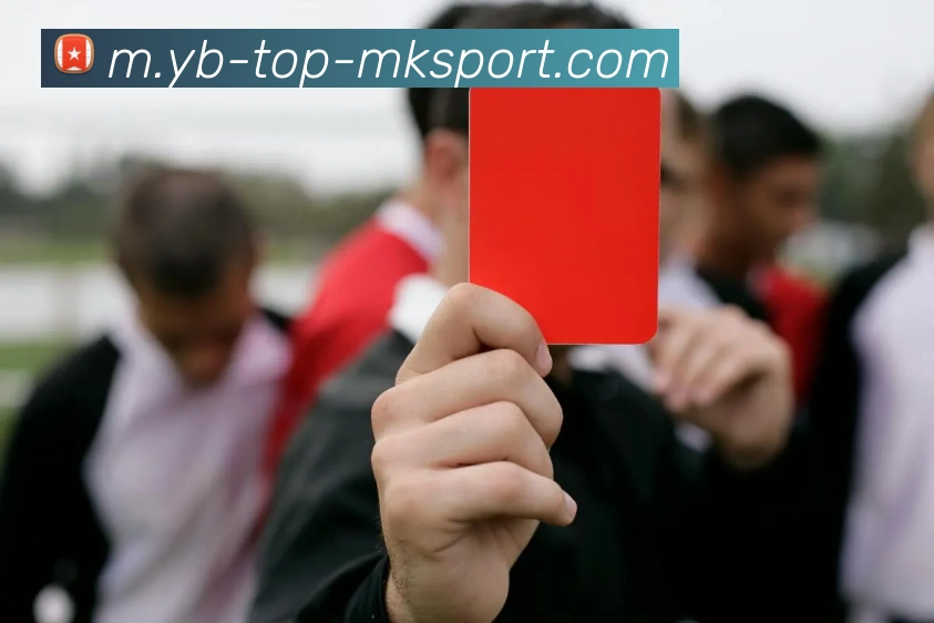 MK体育APP 高清赛事图