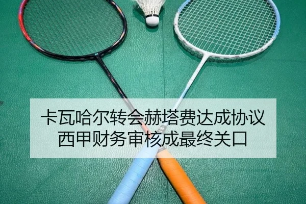 卡瓦哈尔转会赫塔费达成协议 西甲财务审核成最终关口（mksports）